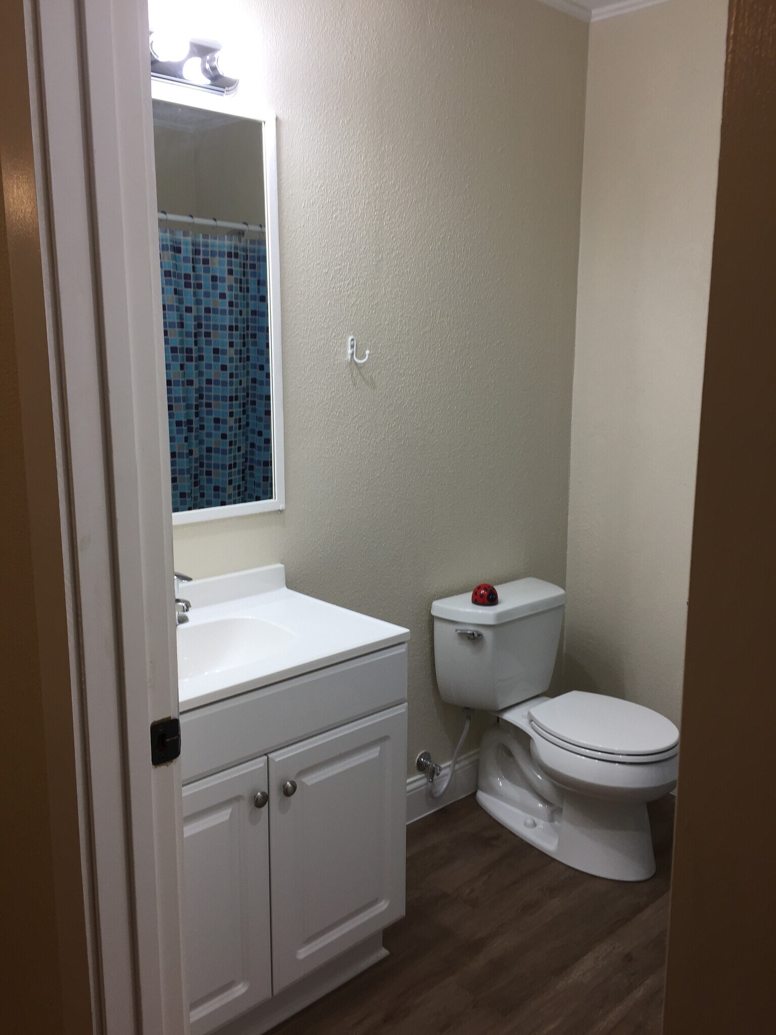 Master bathroom - 310 East 3rd St.