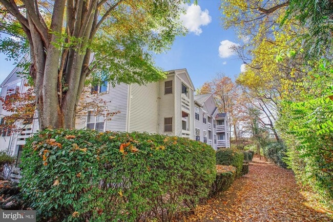 Primary Photo - 10303 Appalachian Cir