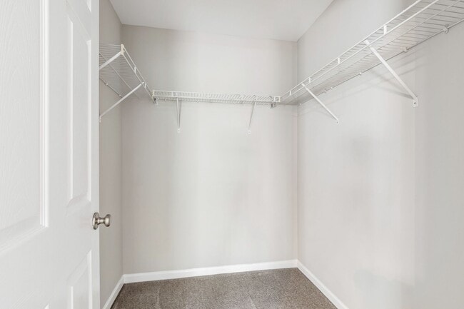 Building Photo - Raleigh Retreat: Modern 3BR Townhome with ...