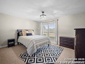 Building Photo - 3620 Chestnut Ct