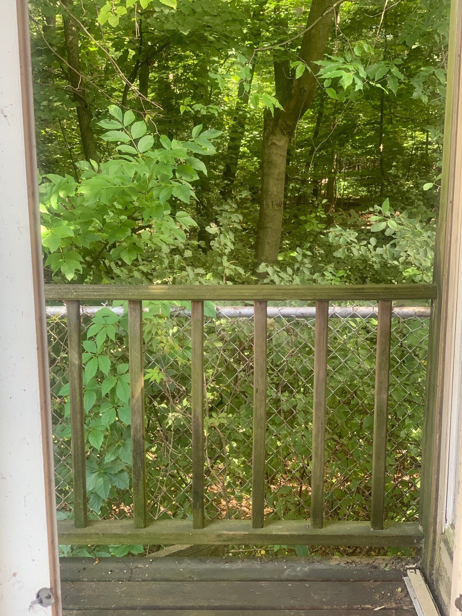 Building Photo - 3348 S Illinois Ave