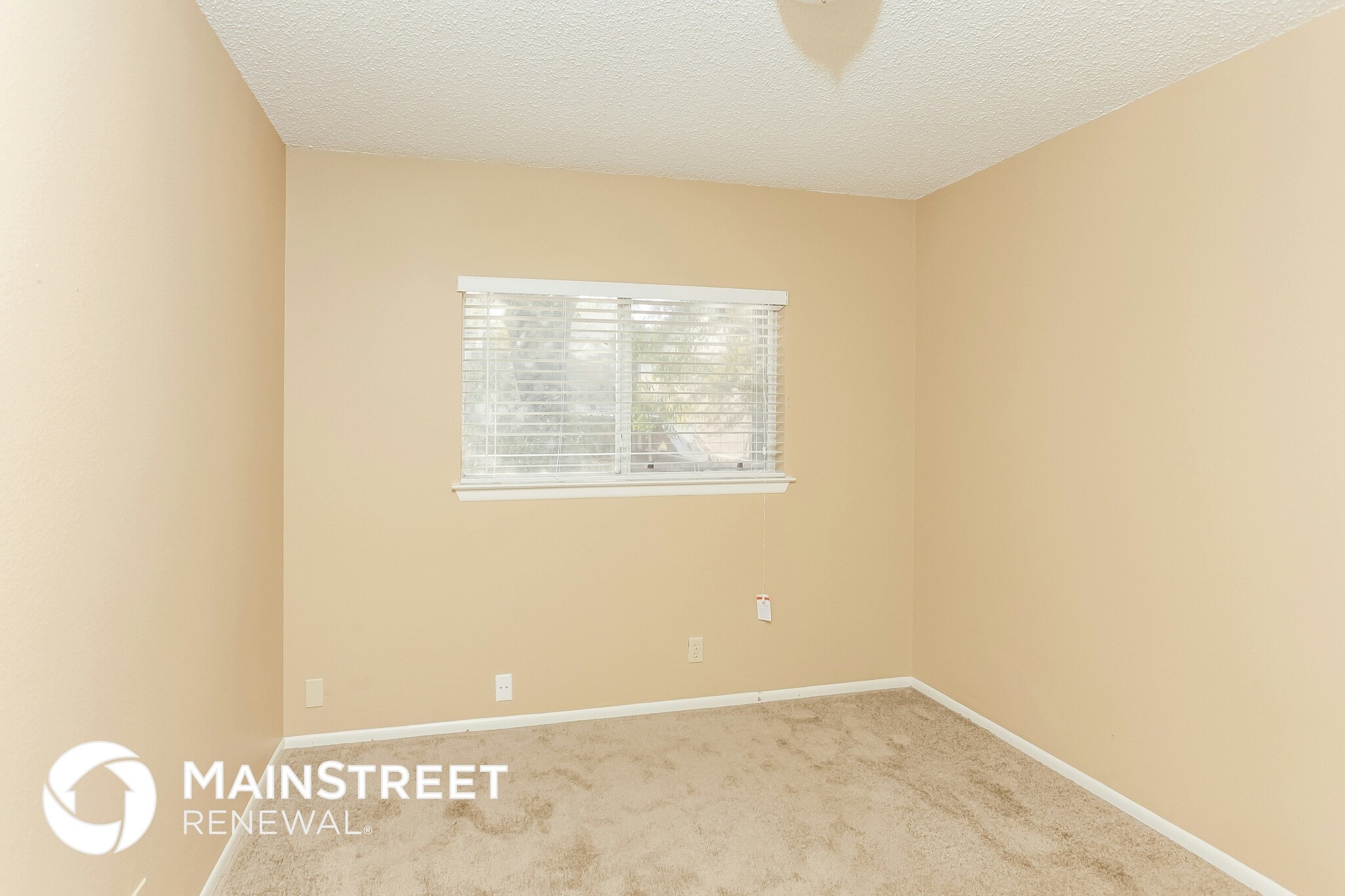 Building Photo - 823 Meadow Stone