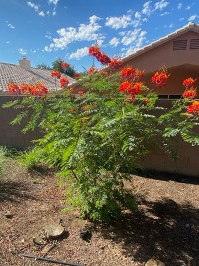 Building Photo - 5249 N Adobe Cir