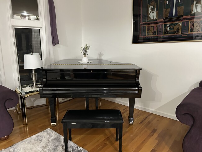 Grand piano in the living room - 6245 Iron Bridges Rd