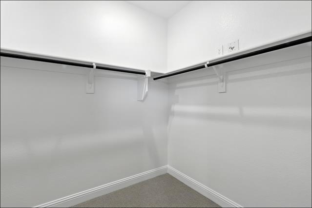 Building Photo - 513 Willet Dr