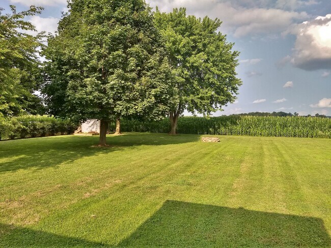 Building Photo - 2 Bed / 1-1/2 Bath Single Family Home