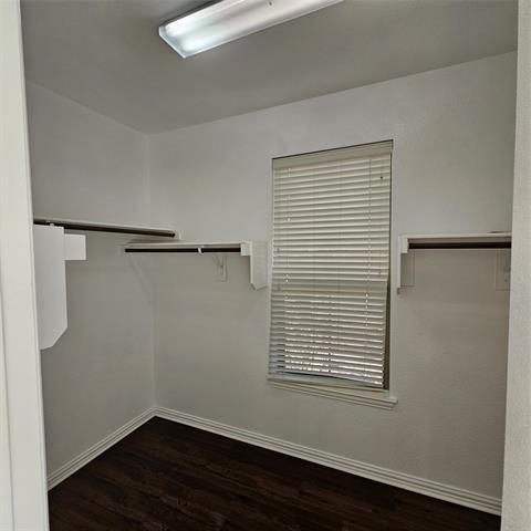 Building Photo - 922 Meadow Flower Ln