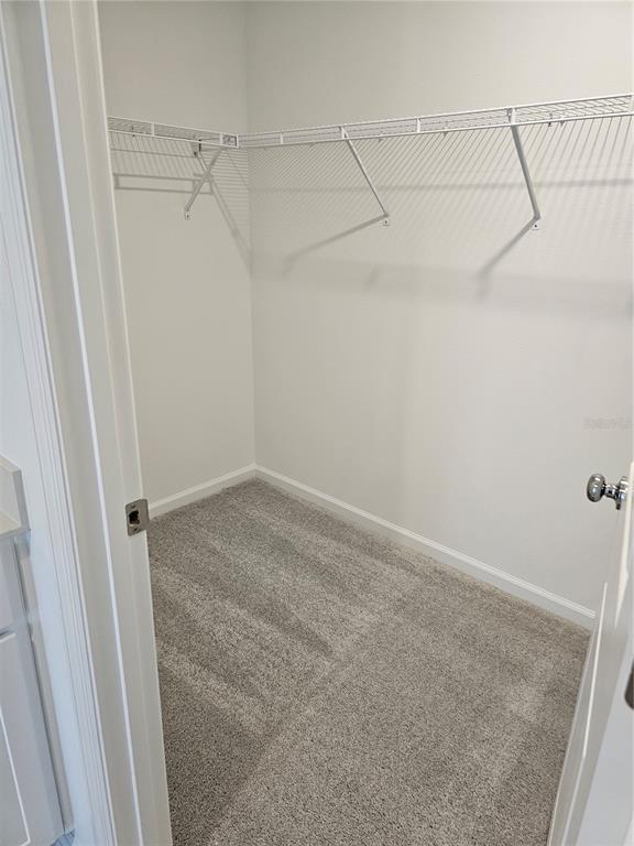 Building Photo - 3386 Alexander Dr