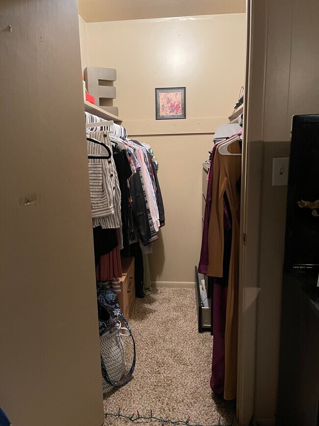 Closet - 391 Protzman St