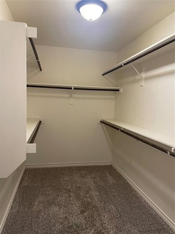 Building Photo - 816 Cypress Hill Dr