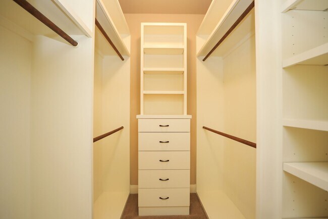 Building Photo - 11002 Upland Forest Dr