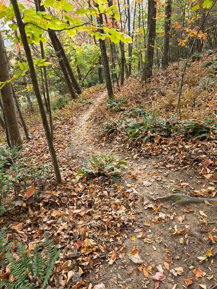 Building Photo - 100 Crab Apple Ln