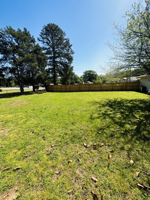 Spacious backyard - 101 Williams Dr