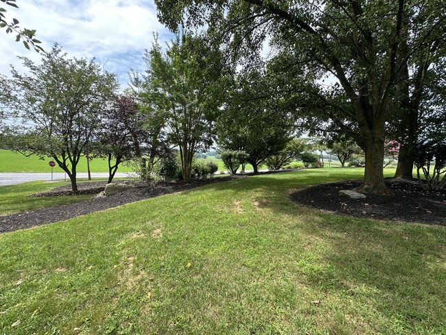 Trees around pond - 6245 Iron Bridges Rd