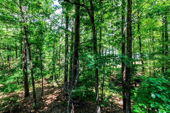 Building Photo - Beautiful 3 bedroom, 3 bath,  mother-in-law sweet with full kitchen in lower level.