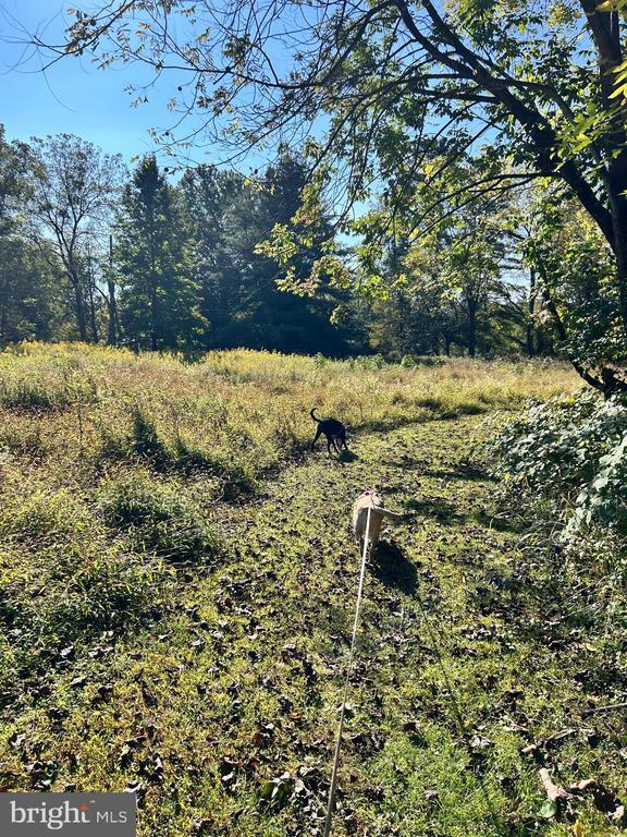 Building Photo - 1705 Mountainview Dr