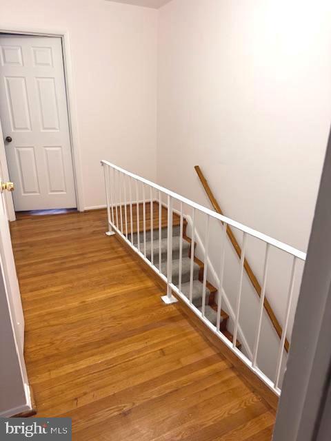 Building Photo - 14401 Brandon Ct