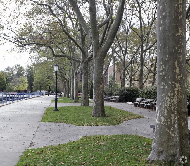 10 - 40 Shore Blvd - Yard - 25-40 SHORE BLVD