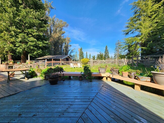 Building Photo - 3 Bedroom Country Home