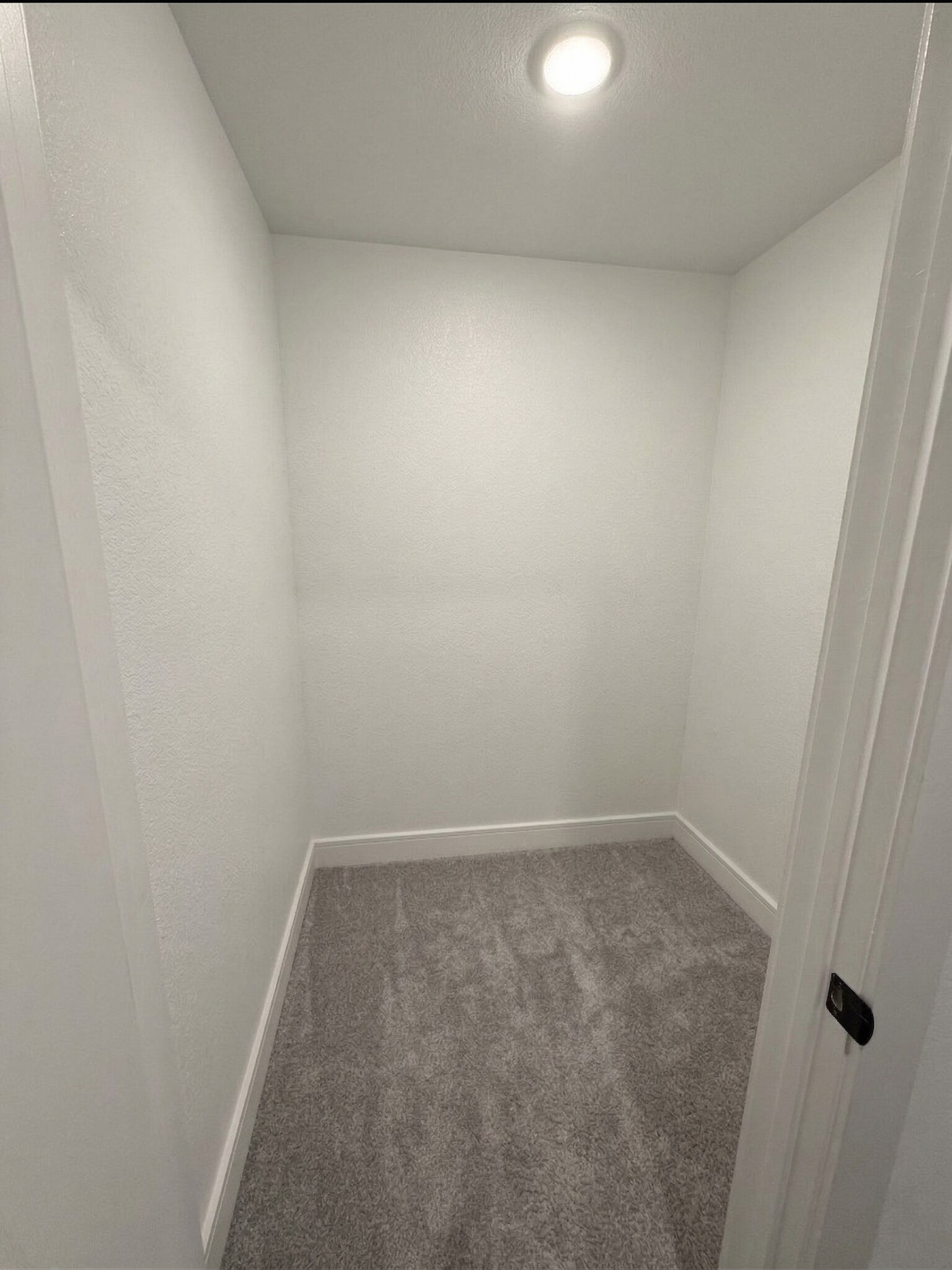 Building Photo - 733 Faith Bud Ln