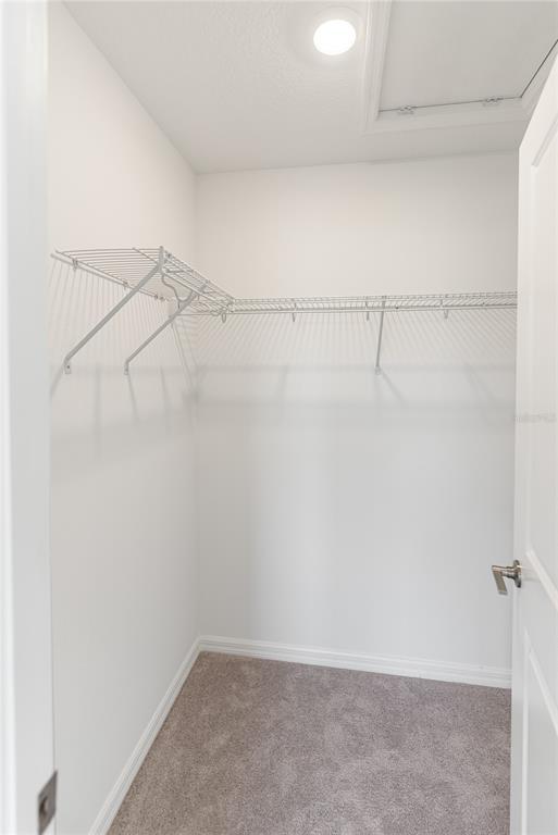 Building Photo - 15117 Cuzcorro Ct