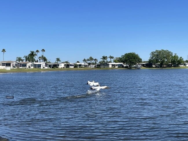 Building Photo - 34616 Ballyhoo Dr
