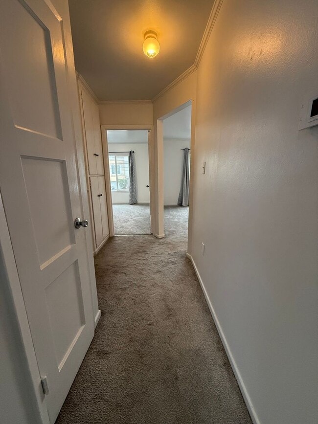 Building Photo - Bright 3BR Flat Near SFSU & BART – Prime I...