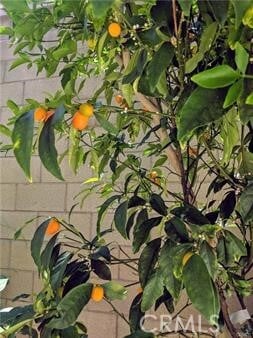 Building Photo - 62 Acorn