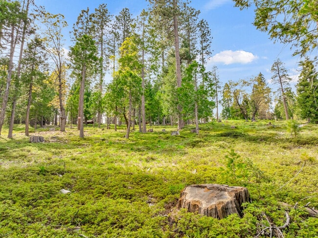 Building Photo - 23672 CA-108