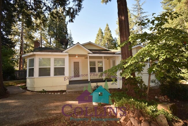 Primary Photo - 13233 Ridge Rd