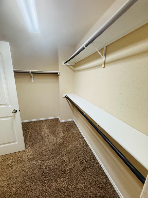 Building Photo - 6723 Indian Lodge