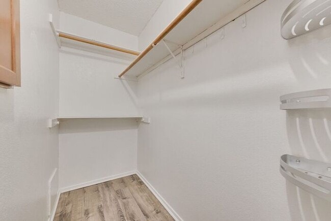 Building Photo - Quiet & Bright Home in Irving