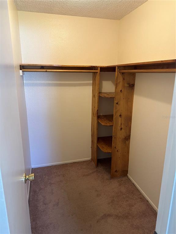 Building Photo - 5 Spring Loop Cir