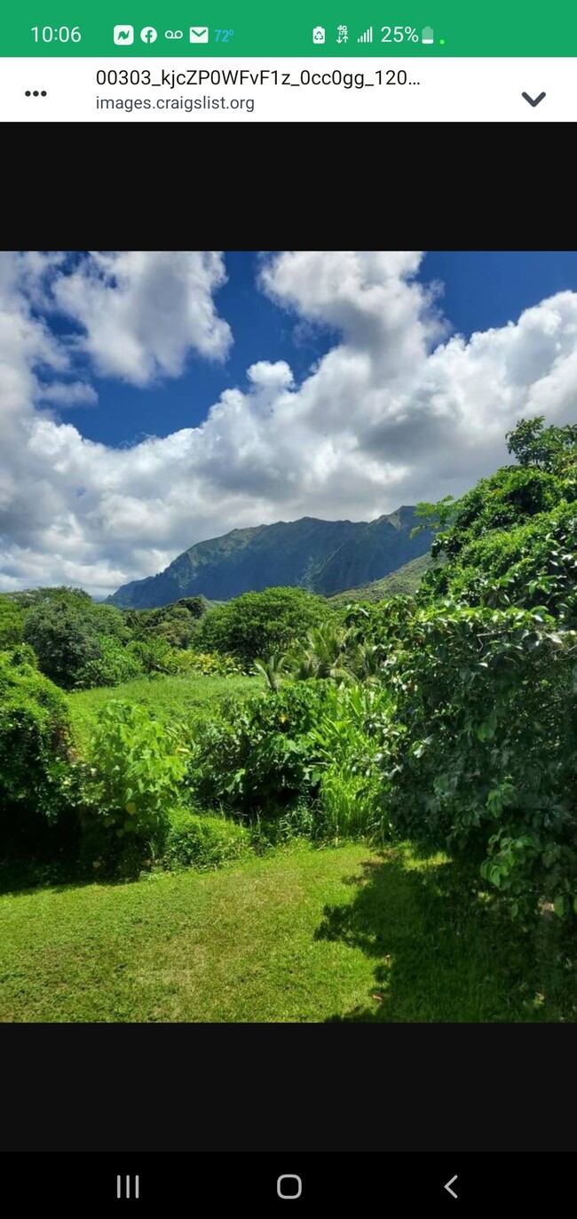 Back Yard - 47-334 Waihee Rd