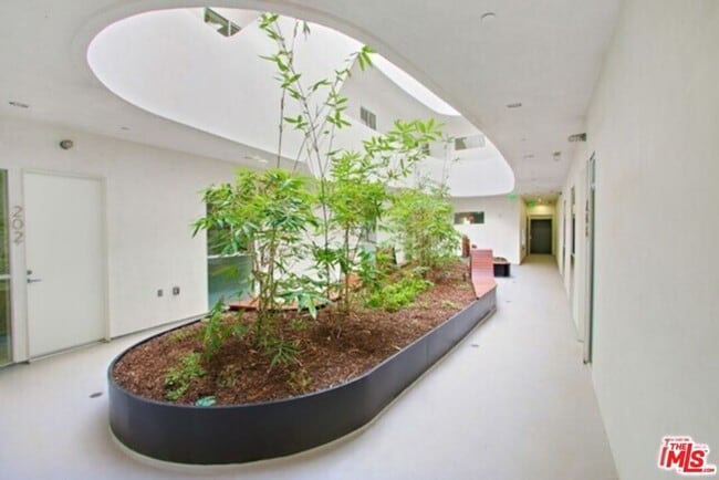 Building Photo - 1038 S Mariposa Ave