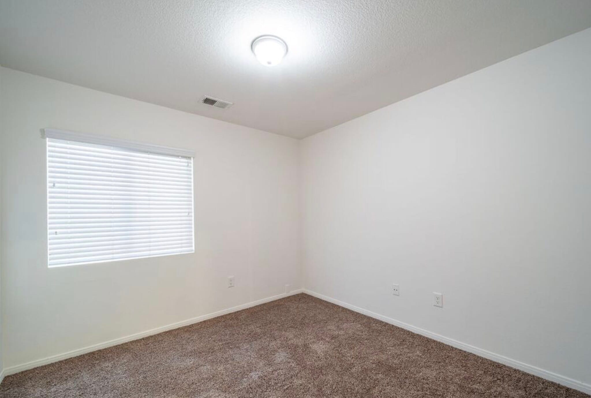 Building Photo - 1036 Playa del Norte