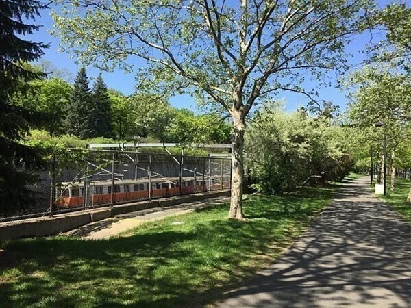 Building Photo - 19 Anson St