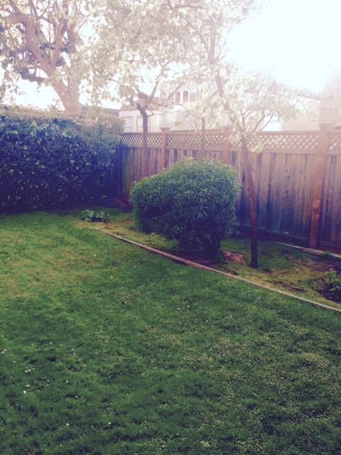 Building Photo - Enjoy indoor & outdoor living in this Spacious 4 Level, 3 bedroom 2 bath home in Lakeside District