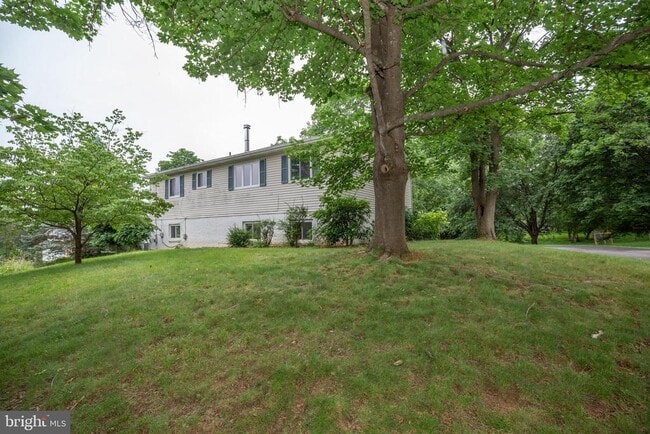 Building Photo - 1517 Caroline St