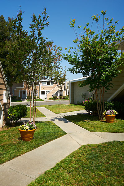 Building Photo - Park Vista Apartment Homes