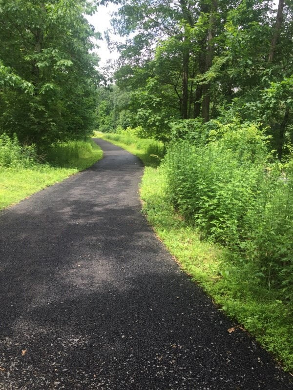 Building Photo - 553 Mockingbird Way