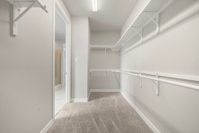 Building Photo - 27130 Spanish Wind Ct