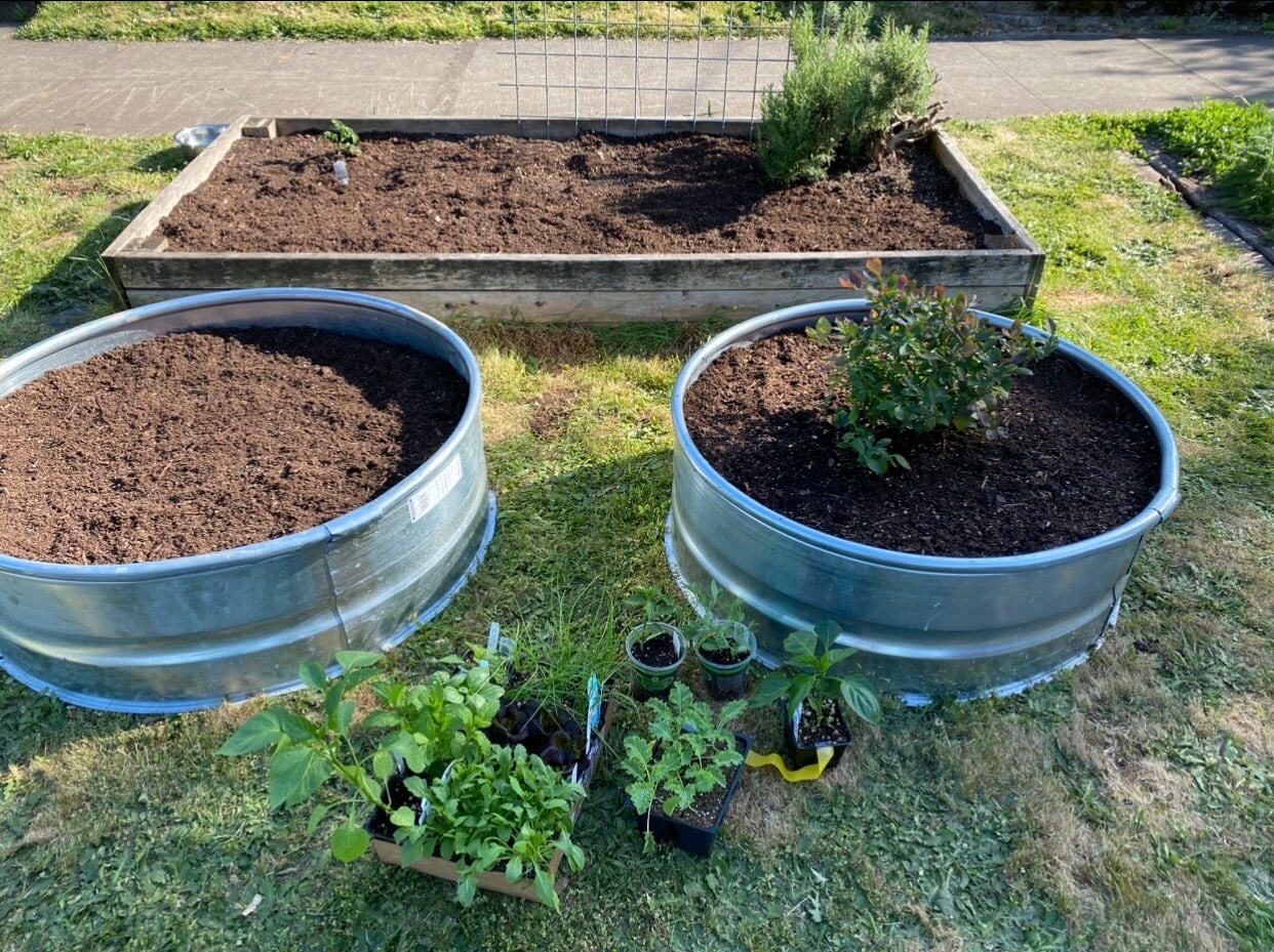 Garden beds - 7138 N Central St