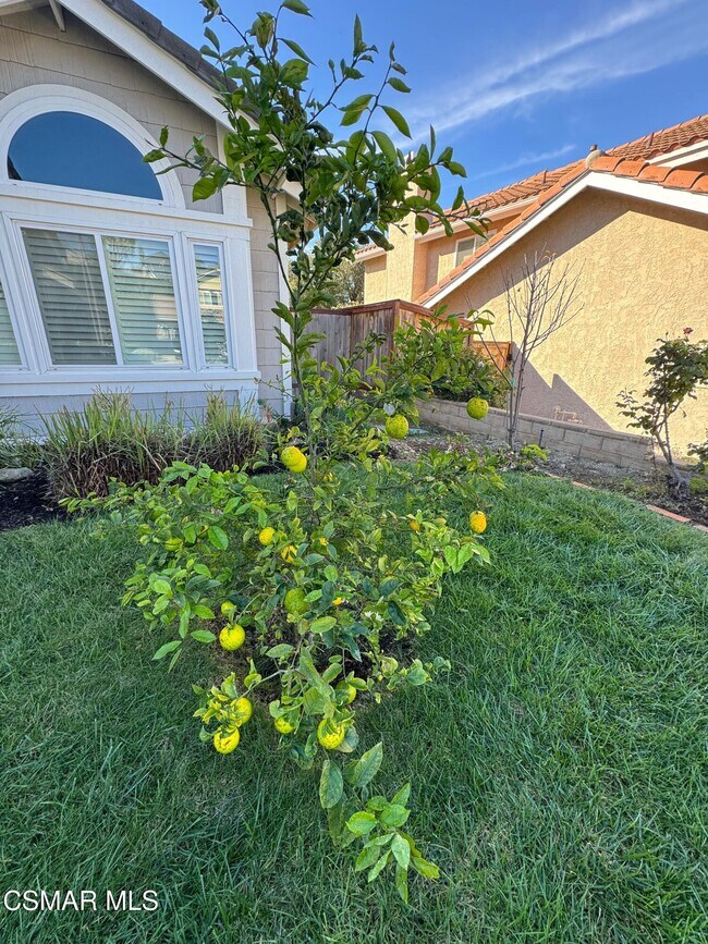 Building Photo - 2479 Rikkard Dr