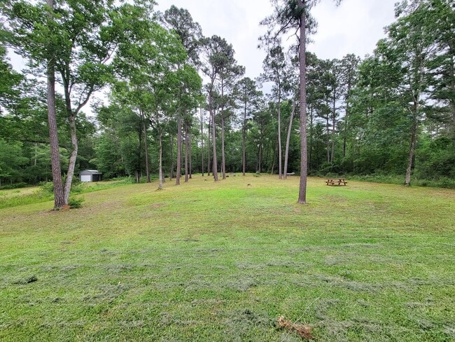 Building Photo - BEAUTIFUL 4 BEDROOM 2 BATH HOME WITH ALL THE UPGRADES ON 1 ACRE LOT IN NEW WAVERLY, TEXAS