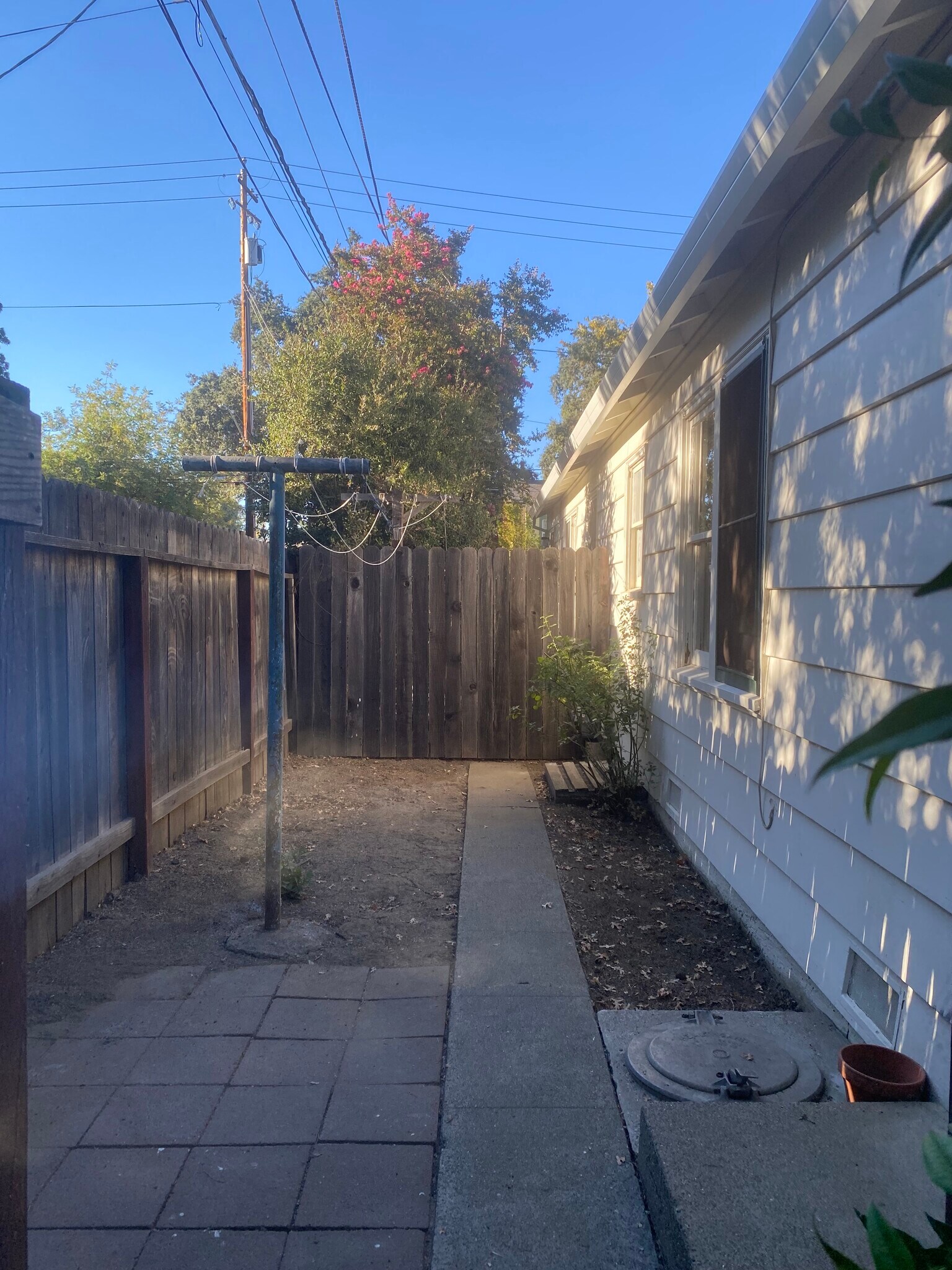 Backyard - 428 Cross St
