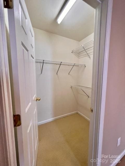 Building Photo - 11840 Royal Castle Ct