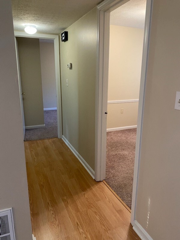 Building Photo - 4015 Tally Ho Ct