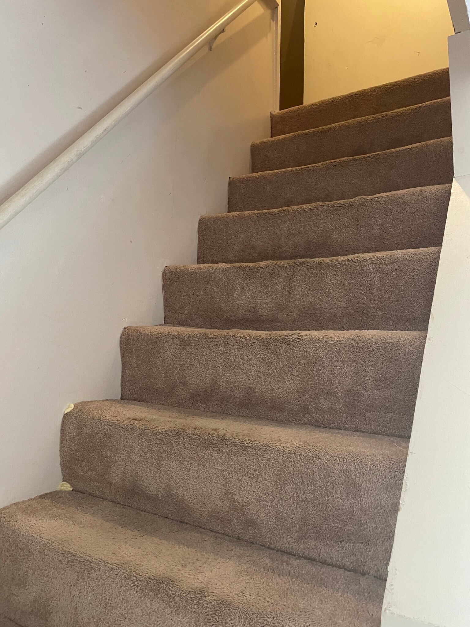 Building Photo - 49 Greer Rd