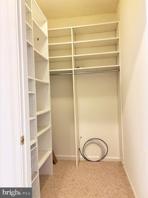 Building Photo - 1708 Lake Shore Crest Dr